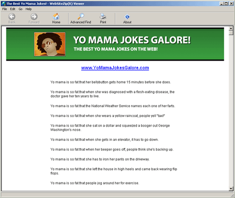 Screenshot for Yo Mama Jokes Galore 1.0
